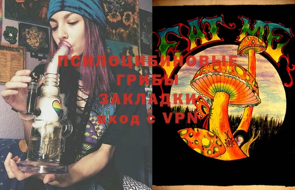мдпв Алзамай