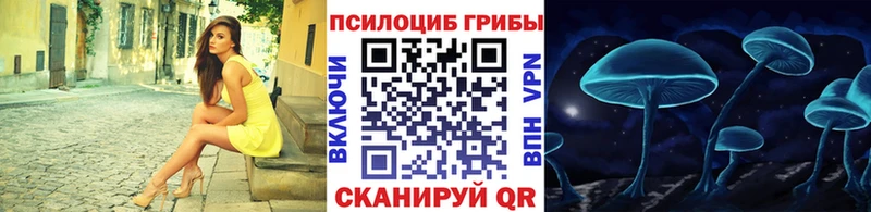 Псилоцибиновые грибы мухоморы  хочу наркоту  shop Telegram  Егорьевск 
