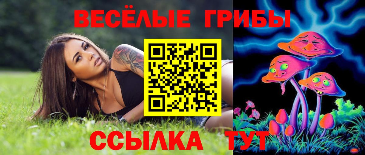 Псилоцибиновые грибы прущие грибы Егорьевск