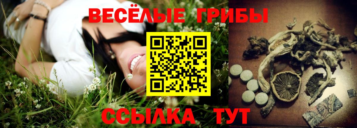 Егорьевск  Галлюциногенные грибы мухоморы  Вход с VPN 