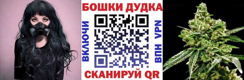 Марихуана Amnesia  купить наркотики цена  Егорьевск 